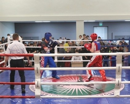 Чемпионов-кикбоксёров по осени считают