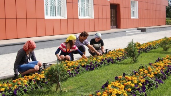 На комбинат – за первой зарплатой