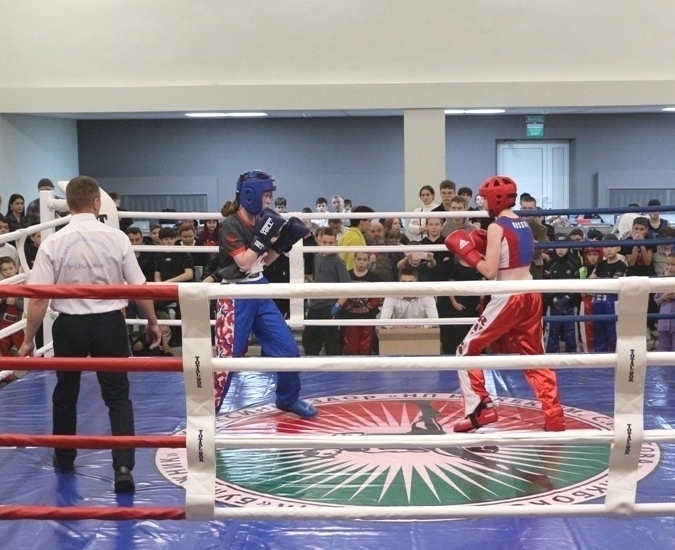 Чемпионов-кикбоксёров по осени считают